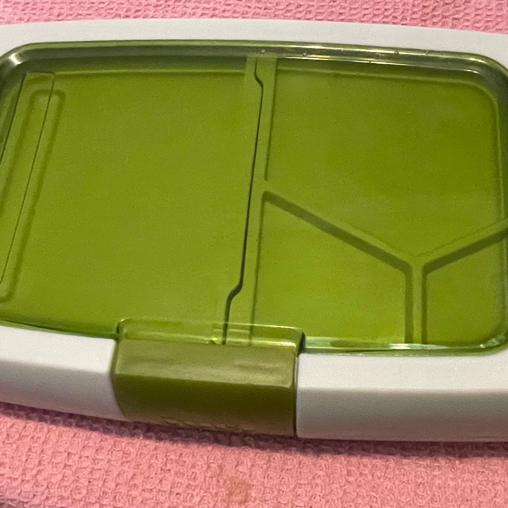 Trudeau Fuel Bento Box Green and White